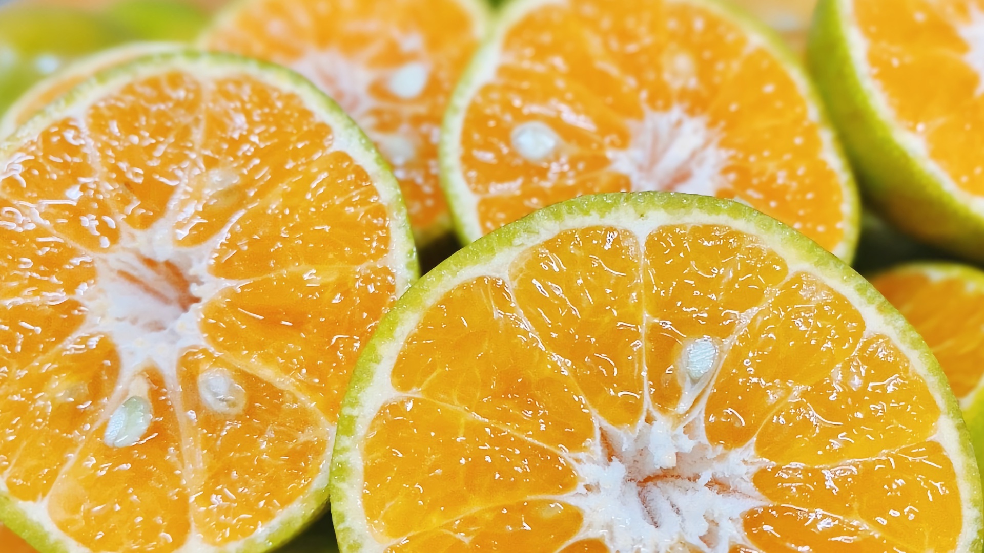 Agencia AGROA: Estrategias adaptadas a las necesidades del sector agroalimentario | Agroa Empresas | Diagnóstico del Sector Citrícola de la Comunitat Valenciana