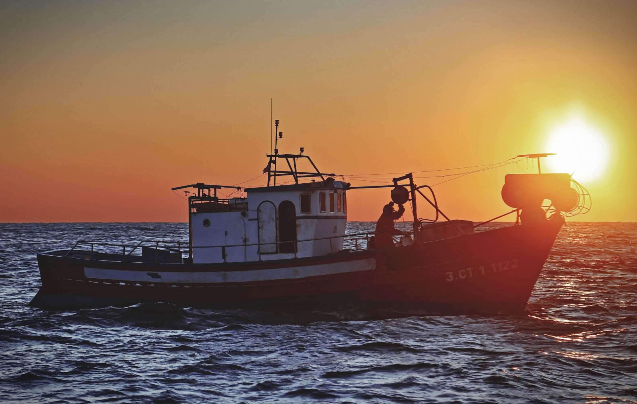 Agencia AGROA: Estrategias adaptadas a las necesidades del sector agroalimentario | Agroa Empresas | Gestión del proyecto DIGIPESCA. Digitalización del sector pesquero mediterráneo.