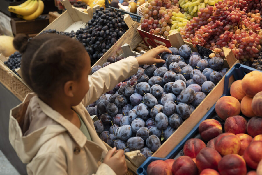 Agencia AGROA: Estrategias adaptadas a las necesidades del sector agroalimentario | Agroa Investigación | Elaboración de un plan de acción para la red mercados municipales de alimentos de València ciudad